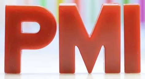 永川什么是PMI，光谱仪出租如何应对PMI检测
