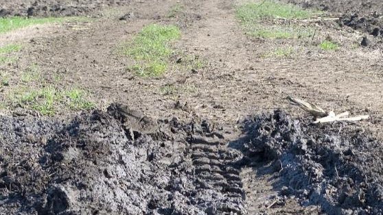 永川光谱仪出租开展的土壤重金属污染源解析